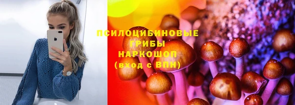 эйфоретик Аркадак