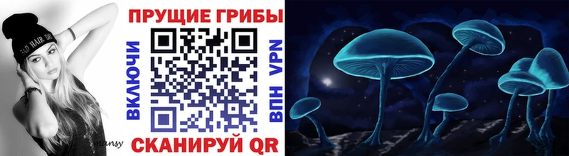 Галлюциногенные грибы MAGIC MUSHROOMS  Богданович 